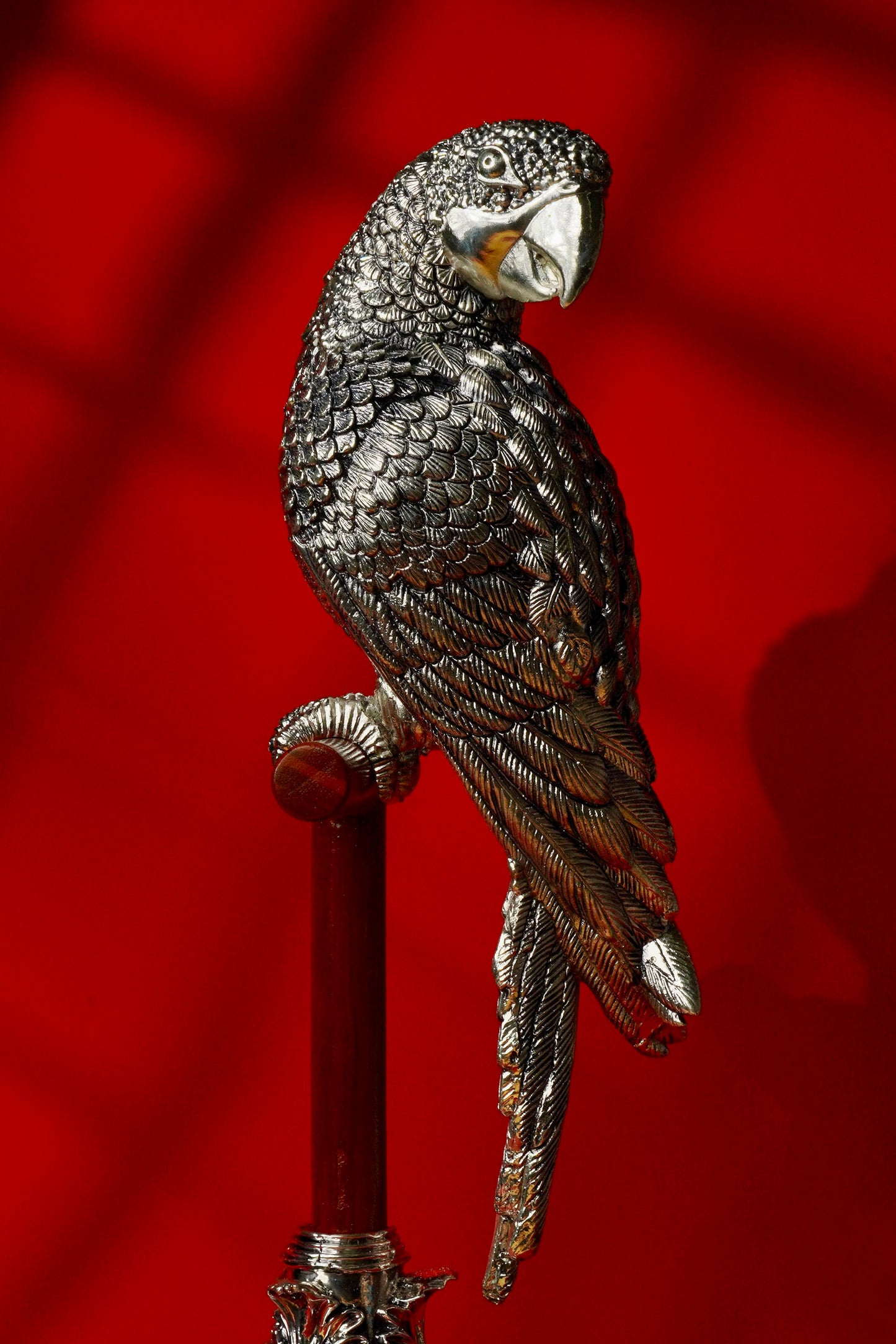 PARROT - SHUKA
